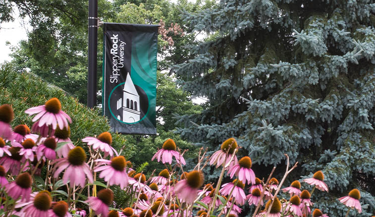 SRU fall enrollment surpasses 8,800, led by record number of graduate