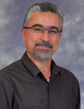 Dr. Sajad A. Hamidi