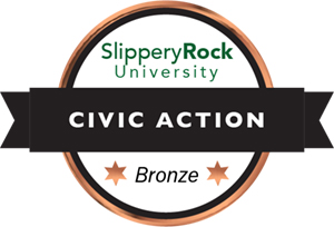 Bronze Civic Action Badge